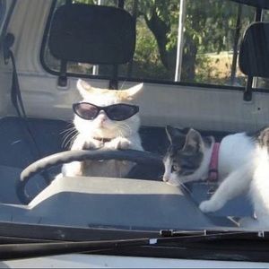 Meet your Posher, Guadalupe